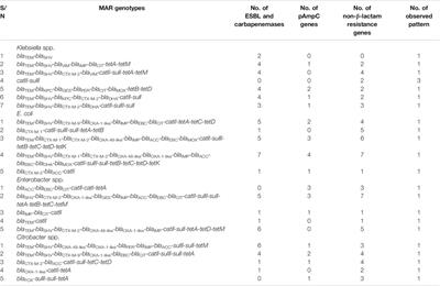 The Abundance of Genes Encoding ESBL, pAmpC and Non-β-Lactam Resistance in Multidrug-Resistant Enterobacteriaceae Recovered From Wastewater Effluents